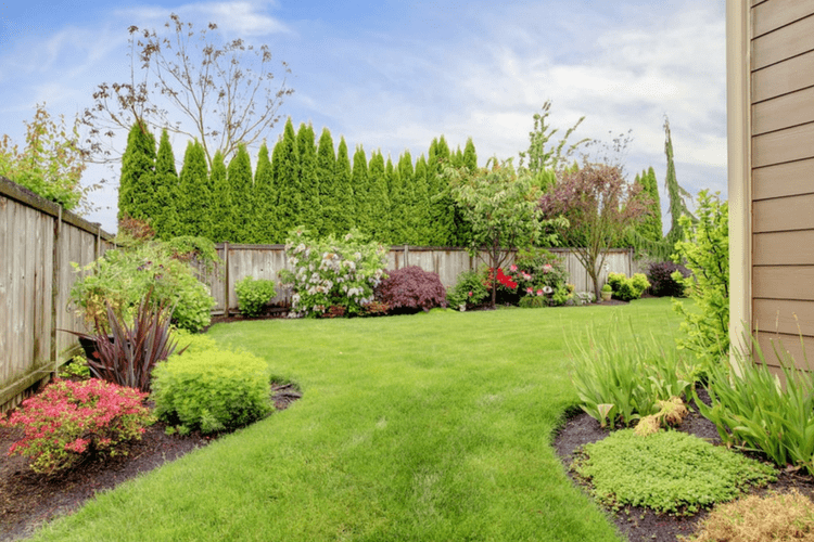 Yard maintenance and lawn treatments can keep your grass green all year long.