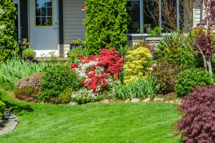 Landscaping trends you need to know. 