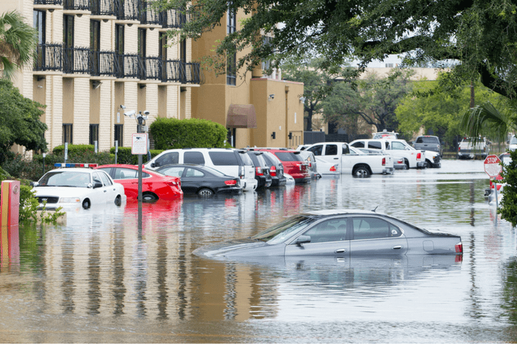 Plan ahead for emergencies with this flood safety article.