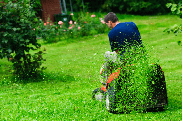 Not all maintenance needs to be performed on your riding mower every time you mow. Read on for more tips and tricks.