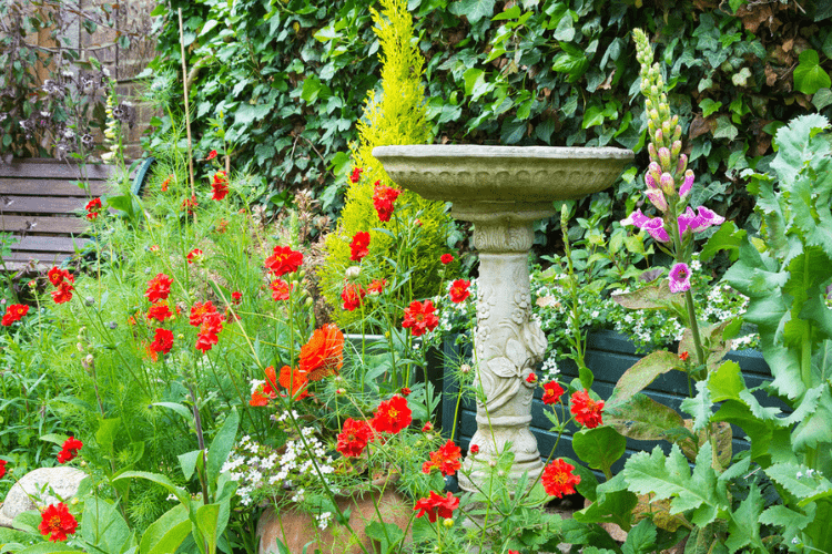 A bird bath is one easily implemented garden piece that will attract birds to your yard.