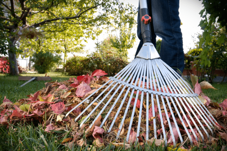 Find the best leaf rake for you and your yard!