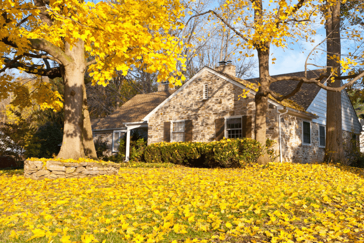 These fall cleaning tips will keep your home comfy and cozy this season.