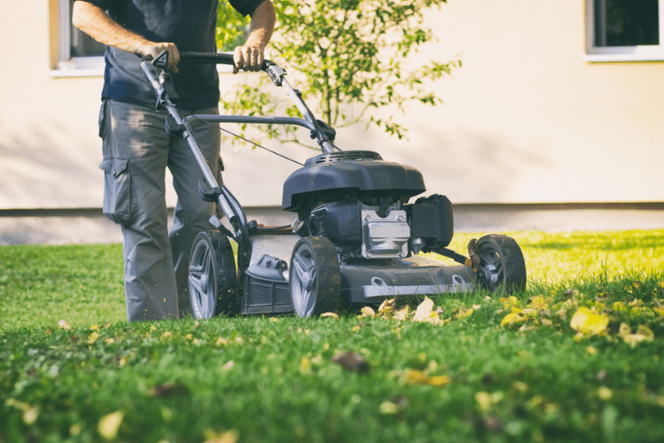 Mulching mowers can be very different than regular mowers. Find out why here.