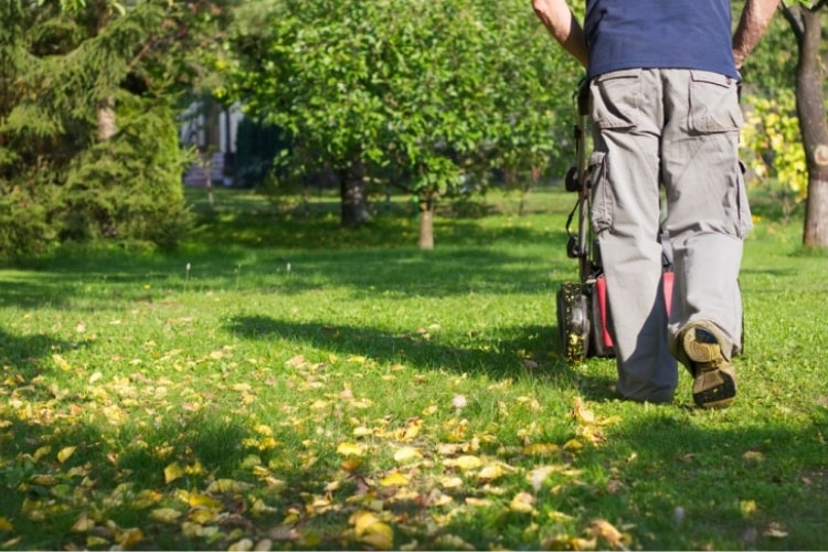 Lawn care isn’t something only done during the warmer months.